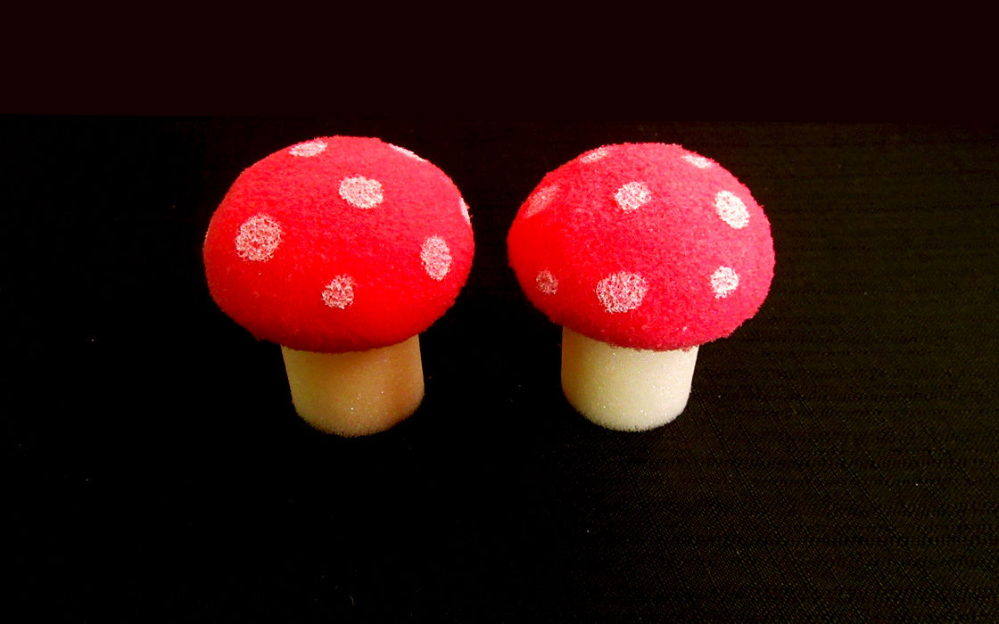 Sponge Mushrooms Alexander May